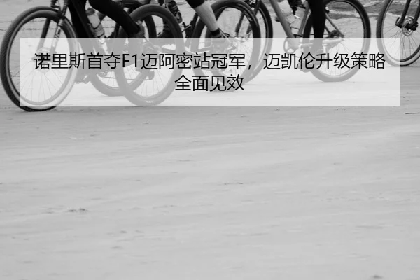 nuo-li-si-shou-duo-mai-a-mi-zhan-guan-jun-mai-kai-lun-sheng-ji-ce-lve-quan-mian-jian-xiao-2-116.jpg